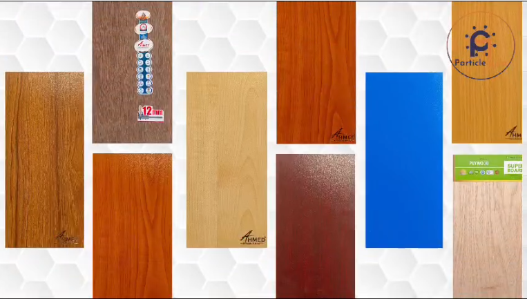 ভিডিও - ২