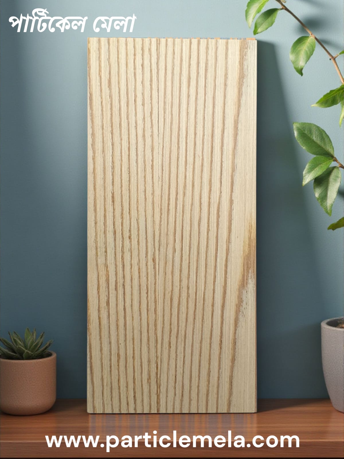 WhatsApp Image 2025-11-05 at 11.56.26 AM (1)